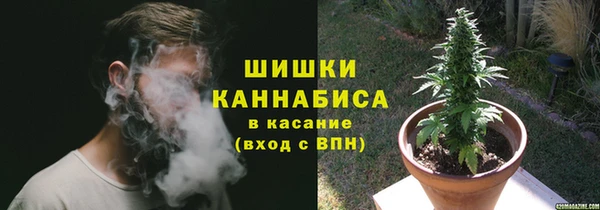 таблы Ельня