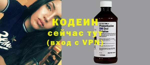 таблы Ельня