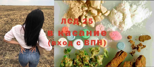 амф Елизово