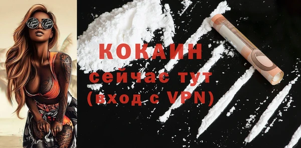 амф Елизово