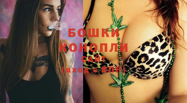 амф Елизово