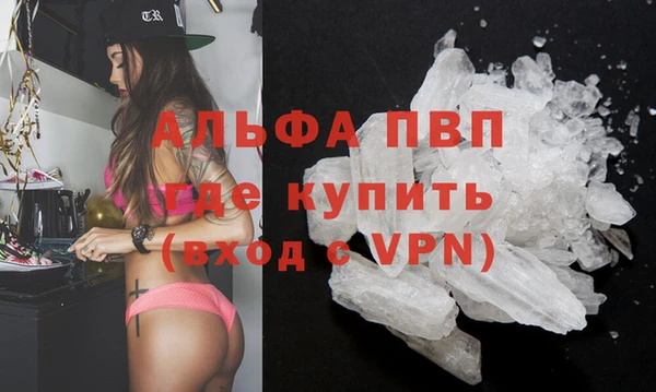 амф Елизово
