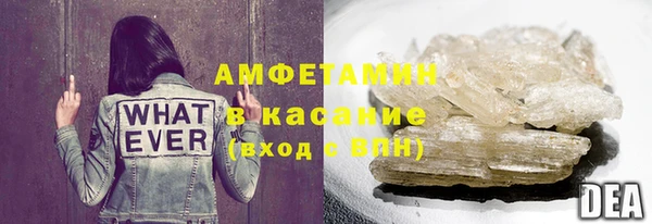 амф Елизово