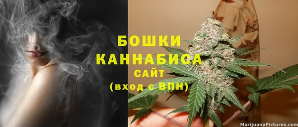 амф Елизово