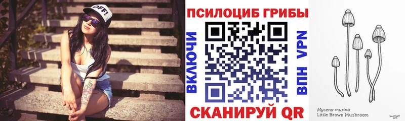 Купить где  Ишим  Псилоцибиновые грибы прущие грибы 